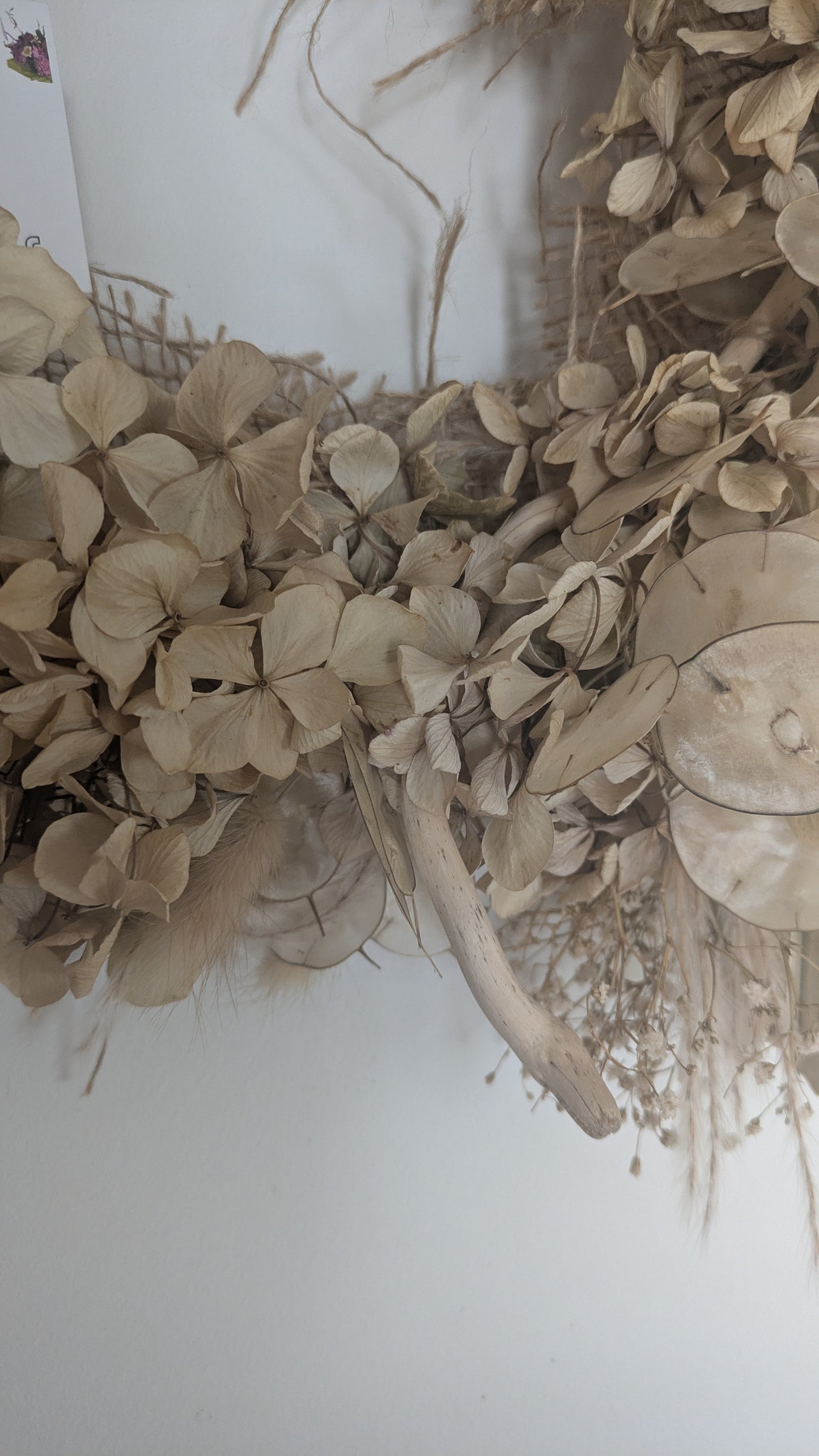 Palm Leaves & Hydrangea
