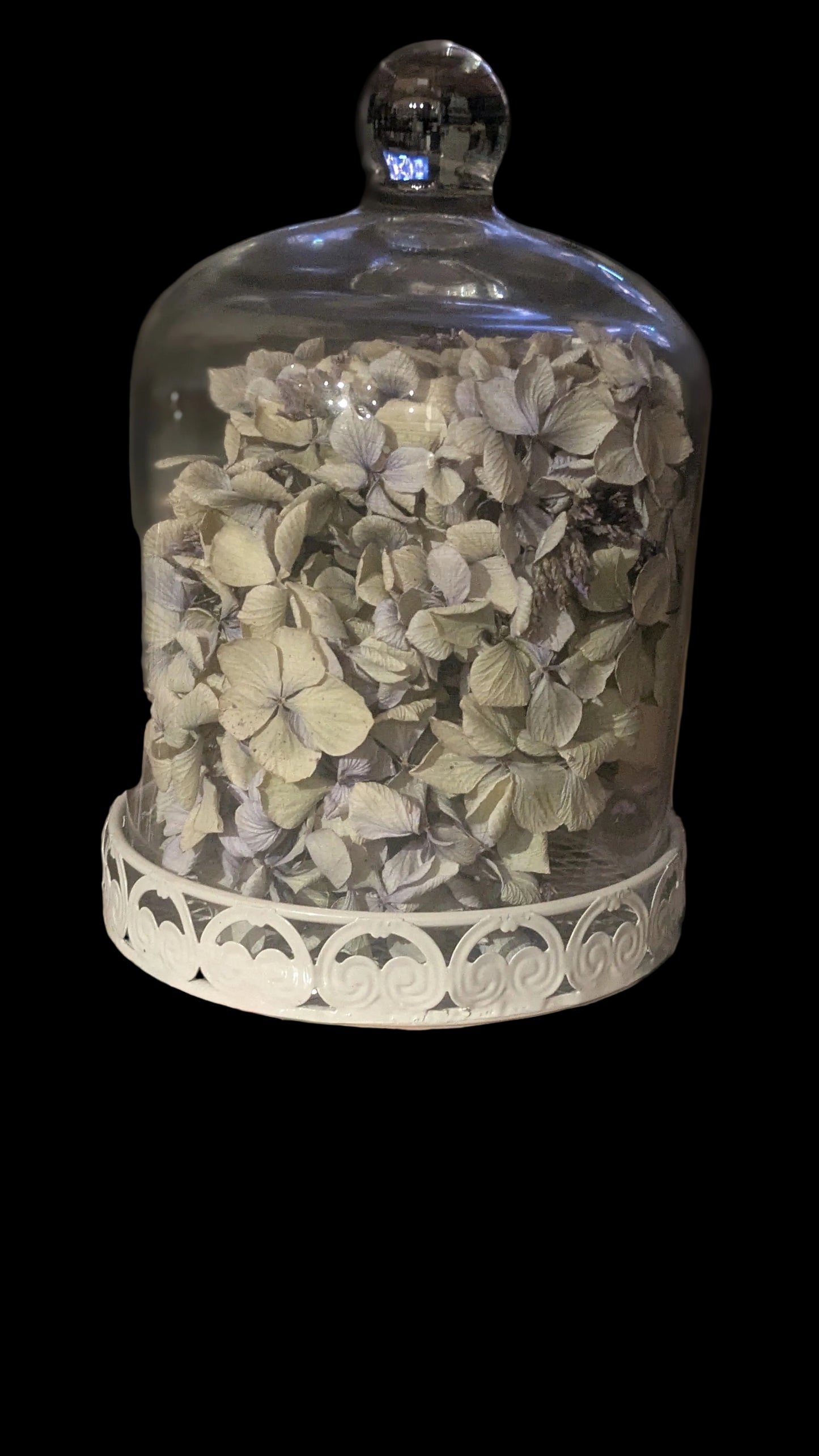 Glass Dome With Dried Hydrangea
