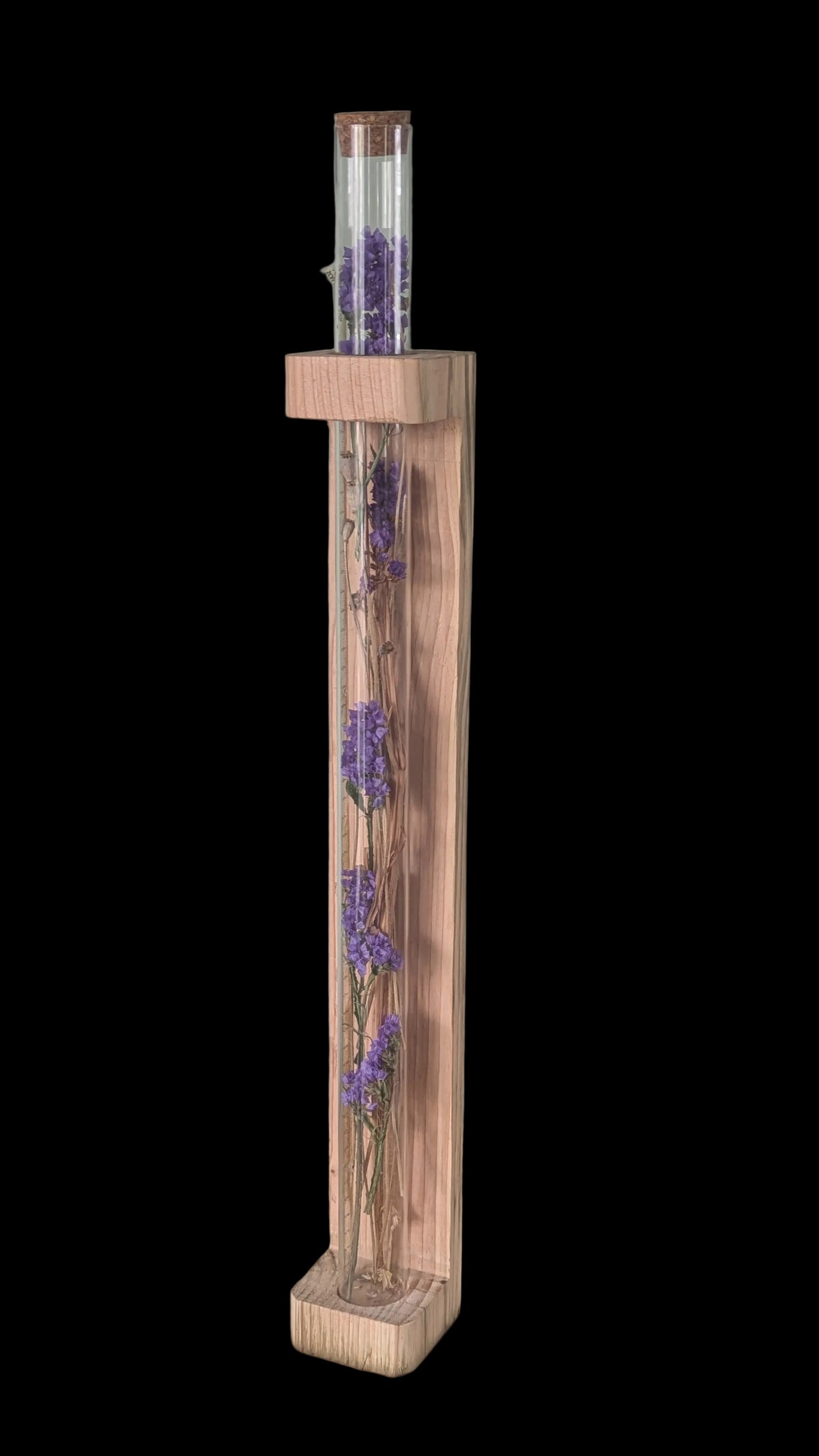 The Botanical Specimen